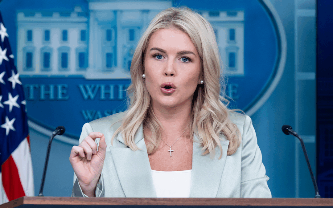 Dem crime policies crippling cities even in Red states as crackdown intensifies, White House warns