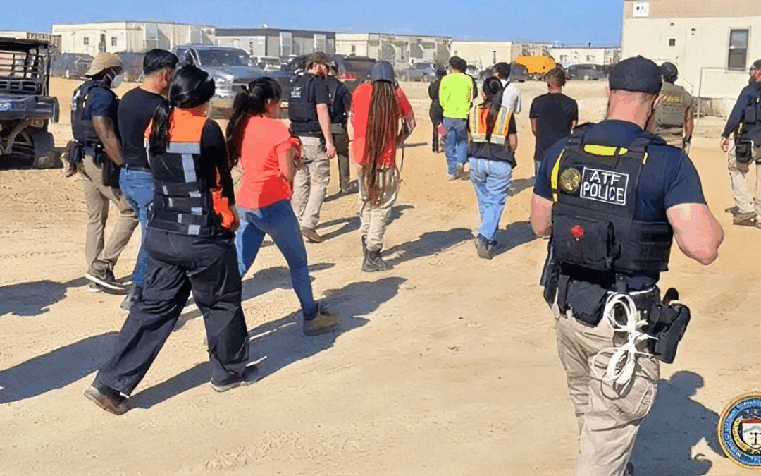 Former DHS official hails ICE raid on Georgia EV plant as ‘great deterrent’ against hiring illegals