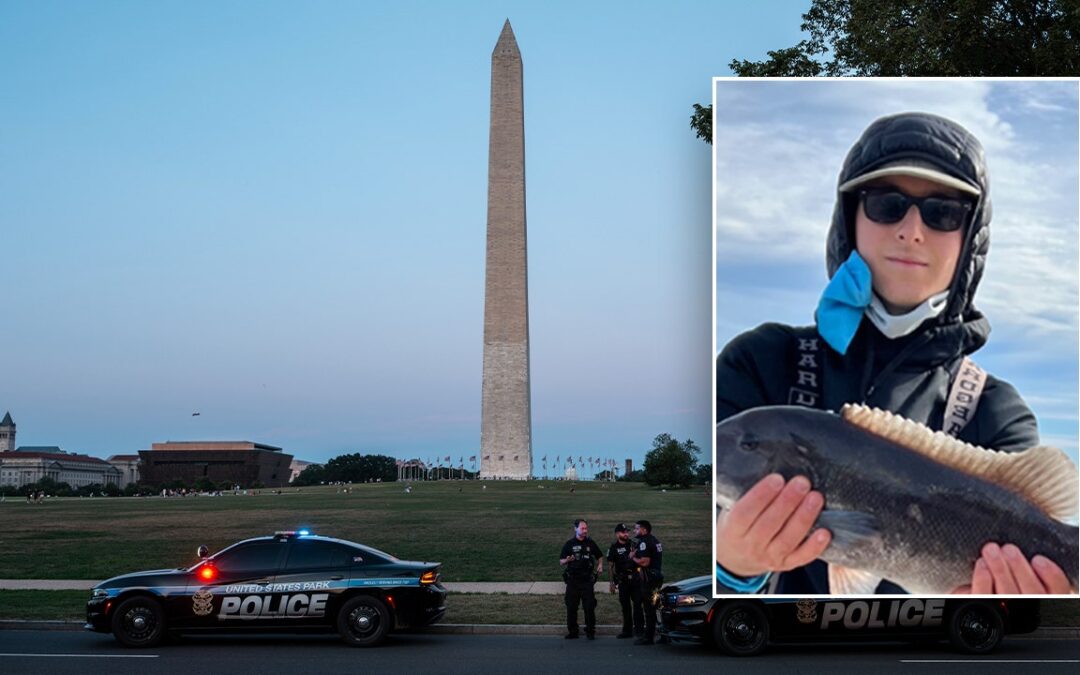 Two teens arrested in murder of Capitol Hill intern, third sought: DOJ, DC police