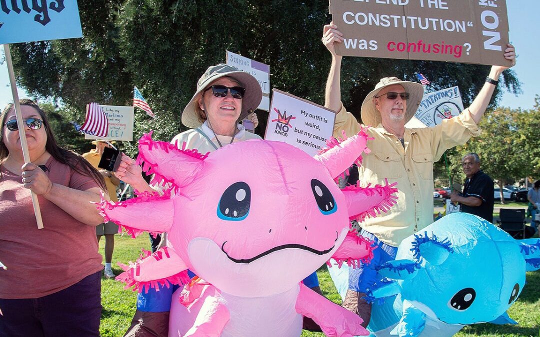 ‘No Kings’ protests largely comprised of people from one demographic: experts